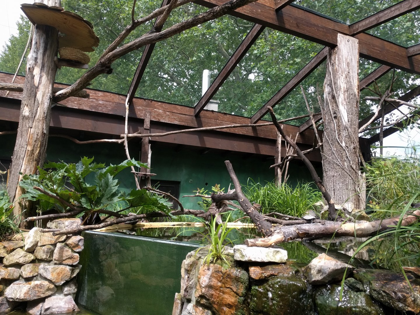 Amazon Walkthrough Aviary