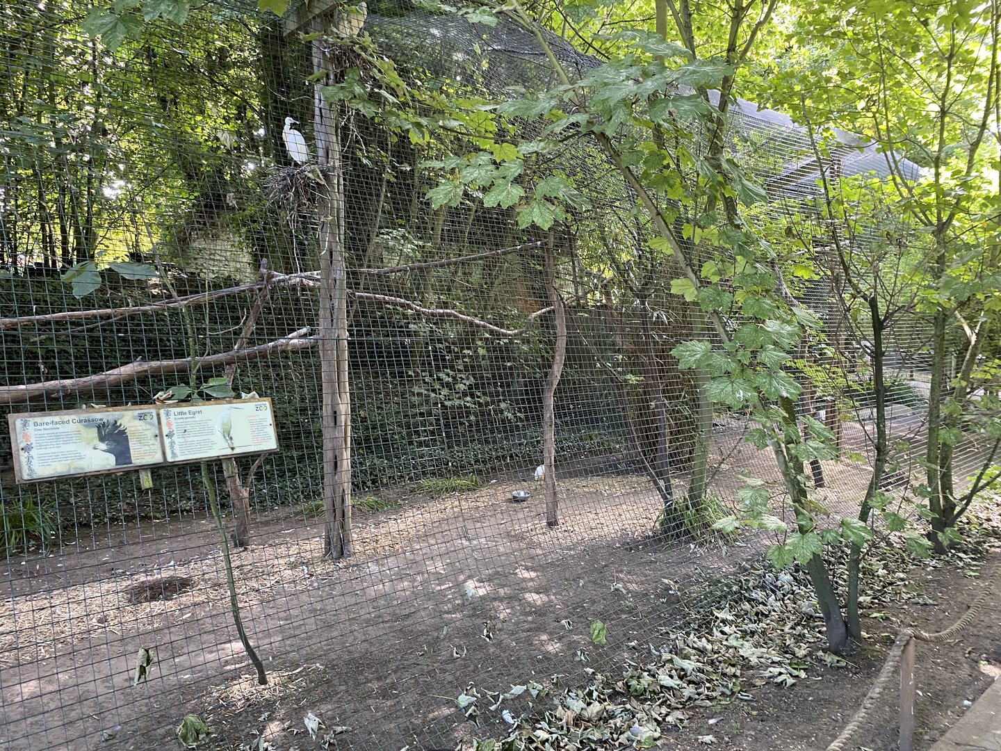 amazona aviary