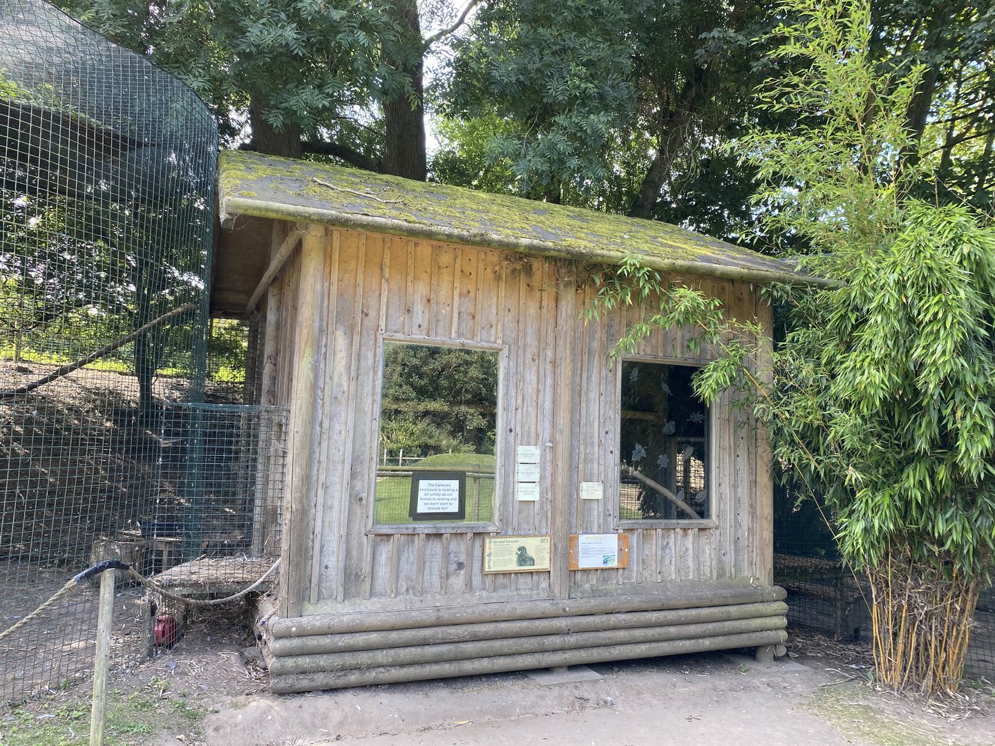 amazona caracara house