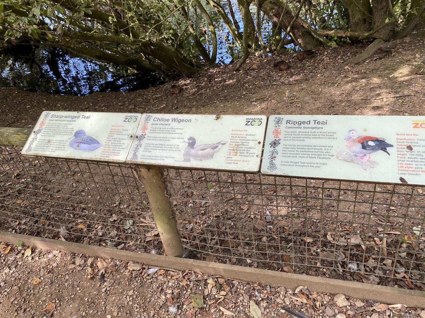 Amazona lake signage