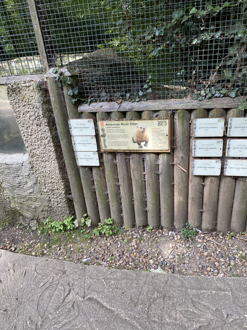 amazona otter signage