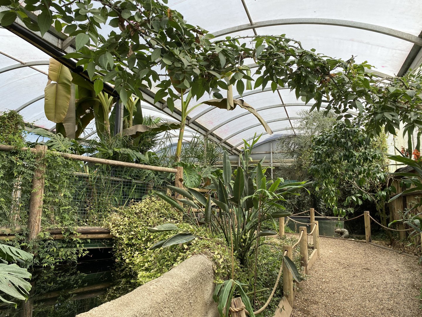 amazona tropical house