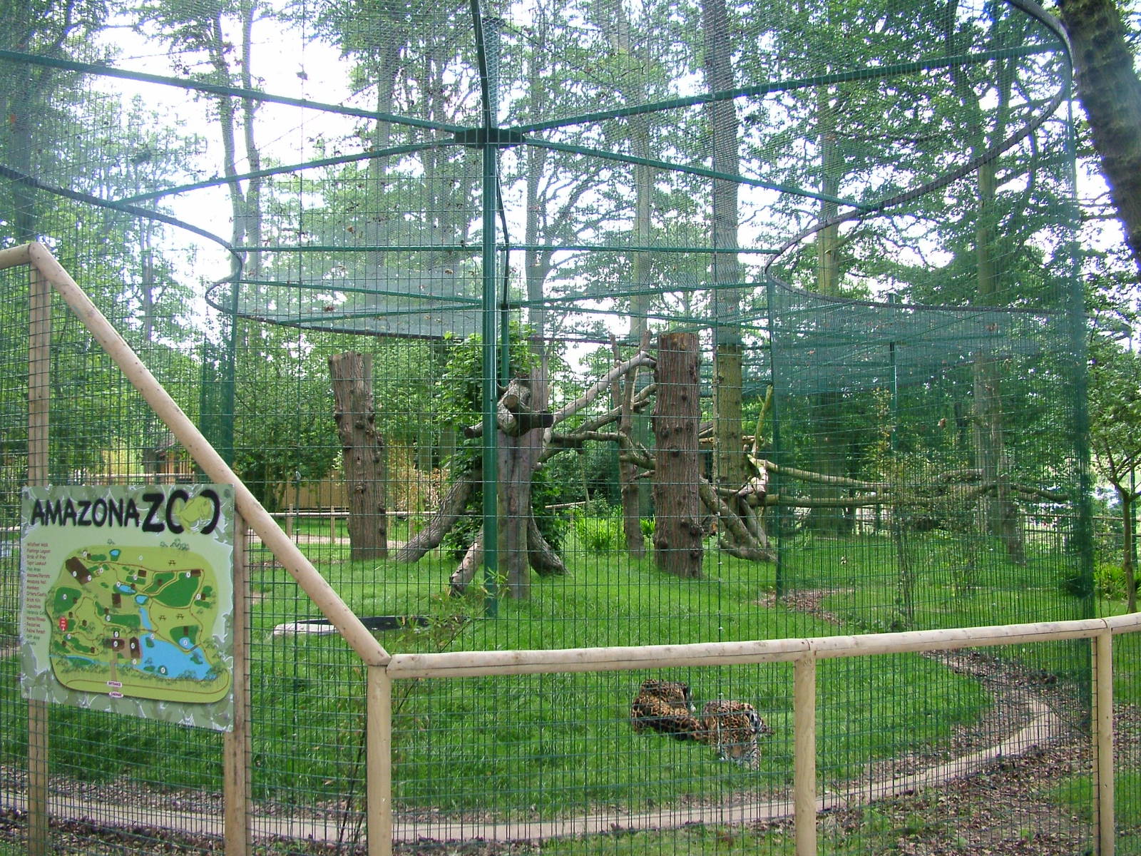 Amazona Zoo, Cromer: Jaguar enclosure