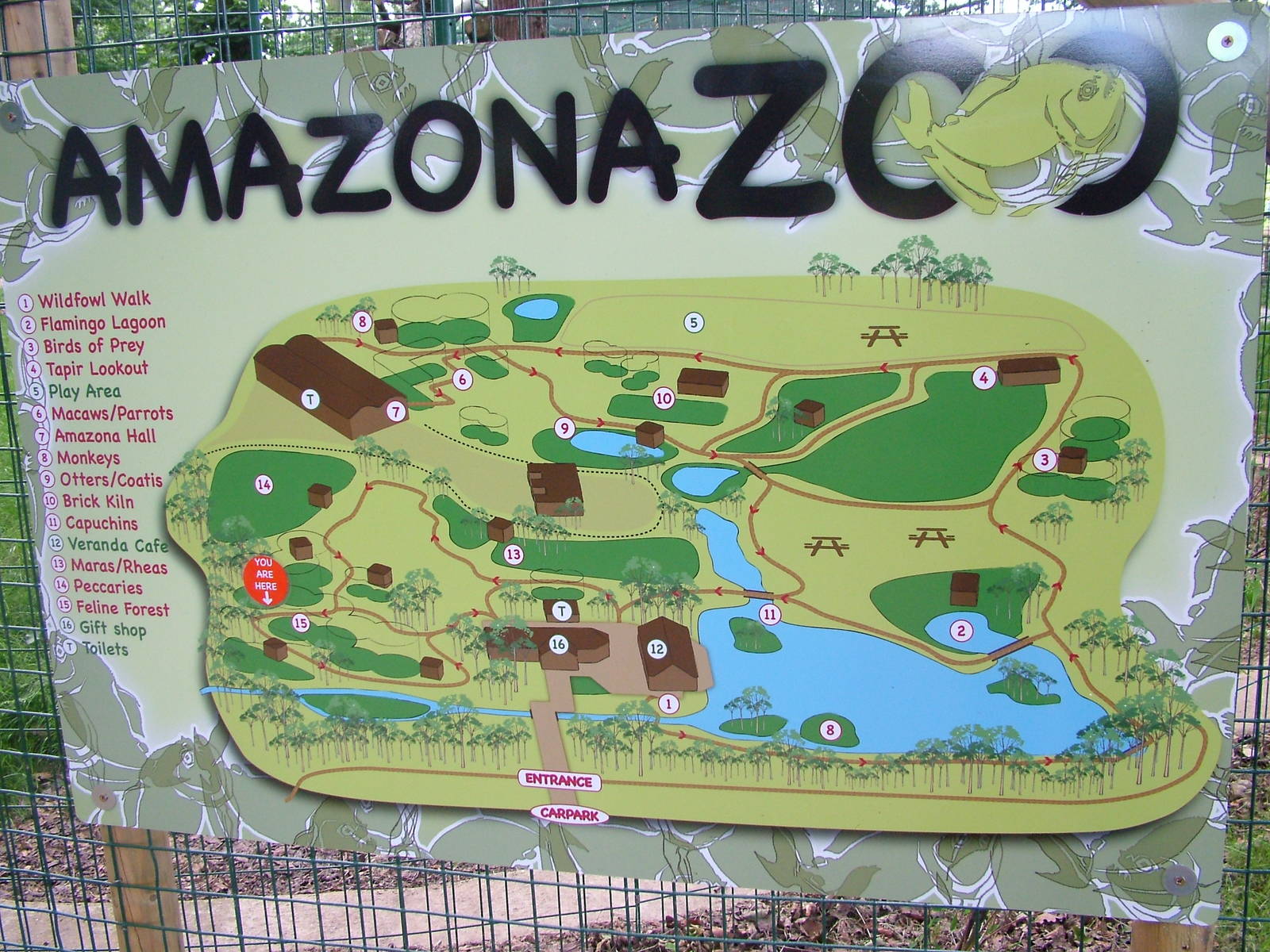 Amazona Zoo, Cromer: Map