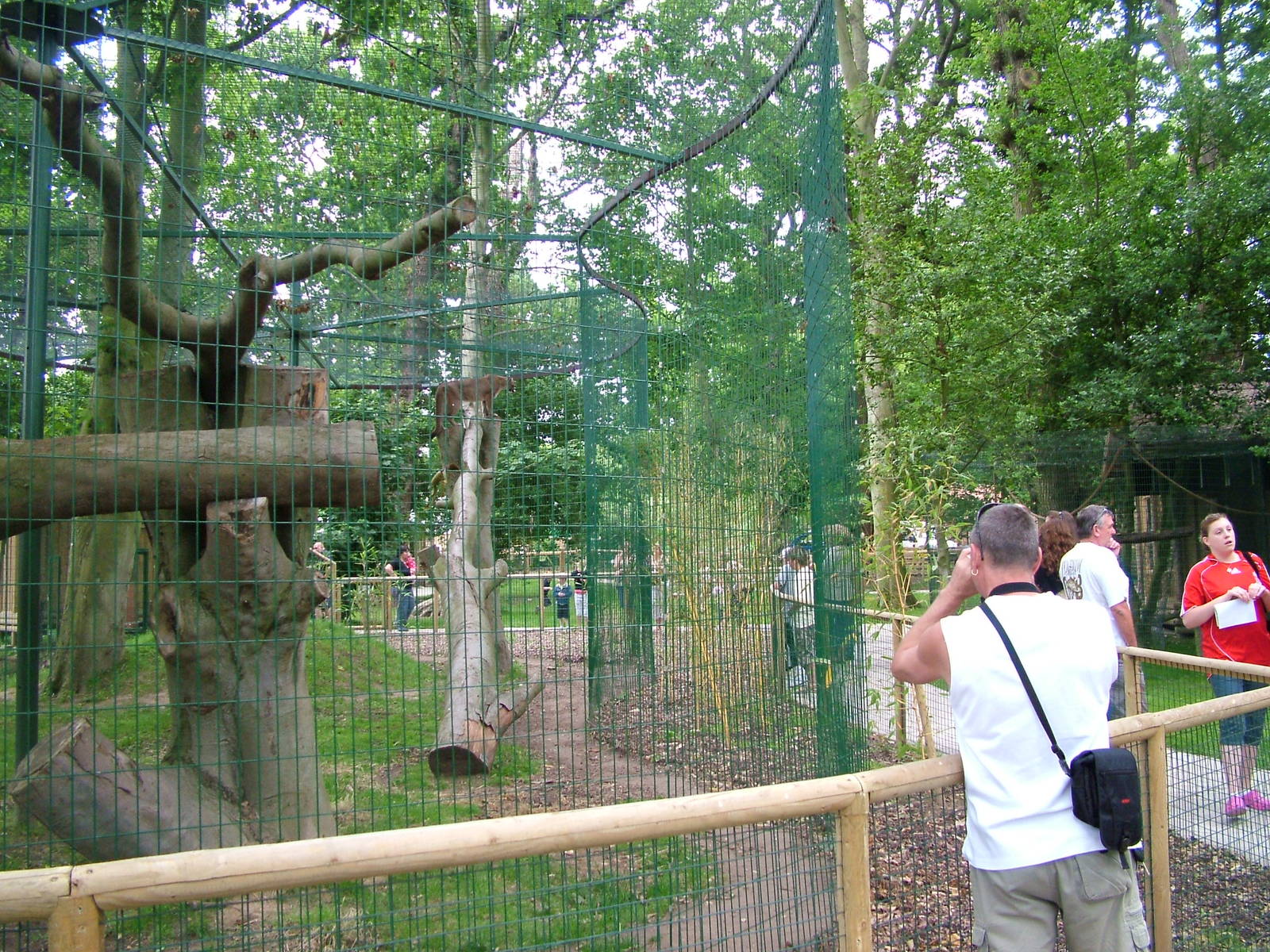 Amazona Zoo, Cromer: Puma enclosure