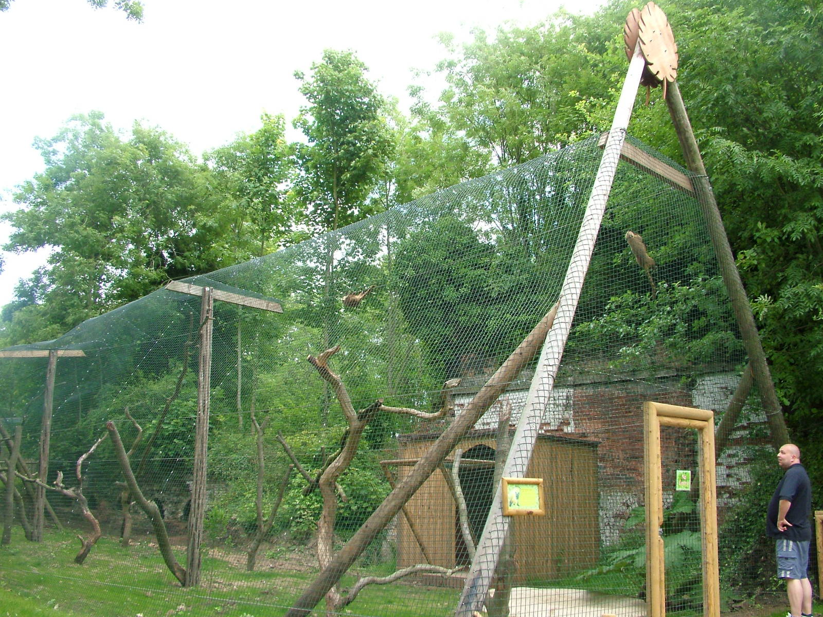 Amazona Zoo, Cromer: Second coati enclosure