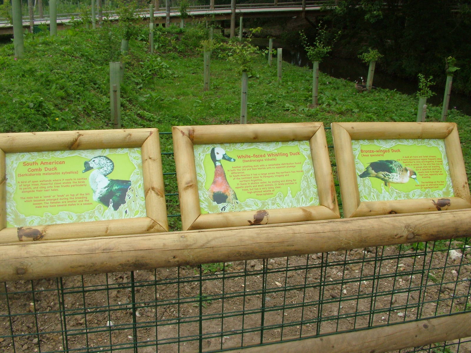 Amazona Zoo, Cromer: Signage examples