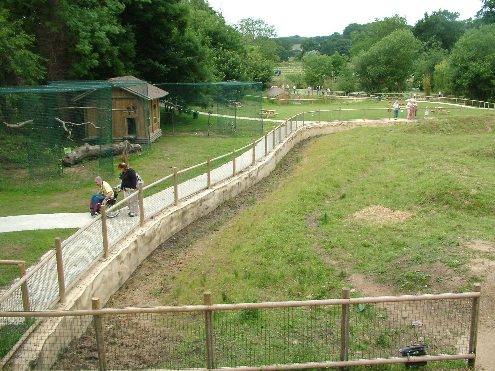 Amazona Zoo, Cromer: View of tapirs and birds of prey