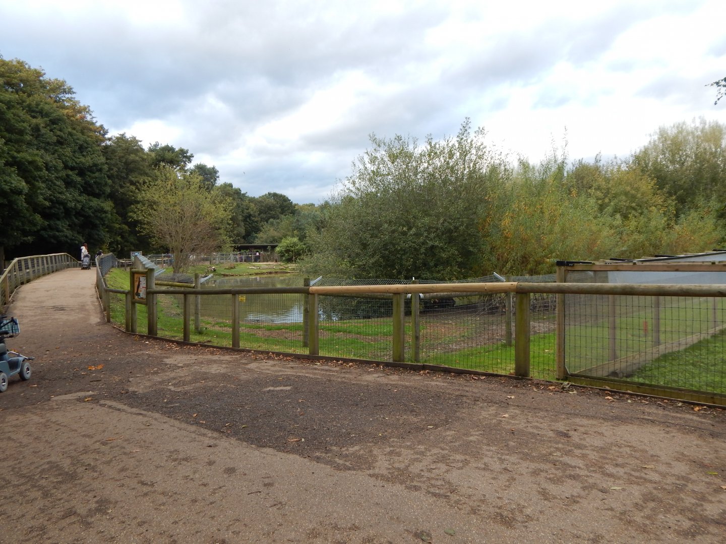 Amazonas - Giant otter habitat 121024