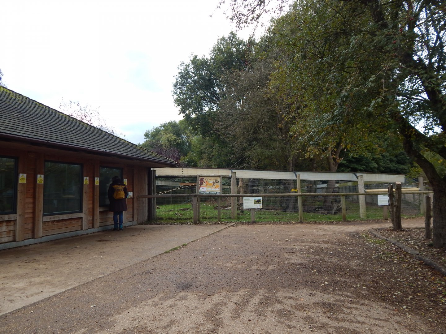Amazonas - Venezuelan red howler habitat 121024