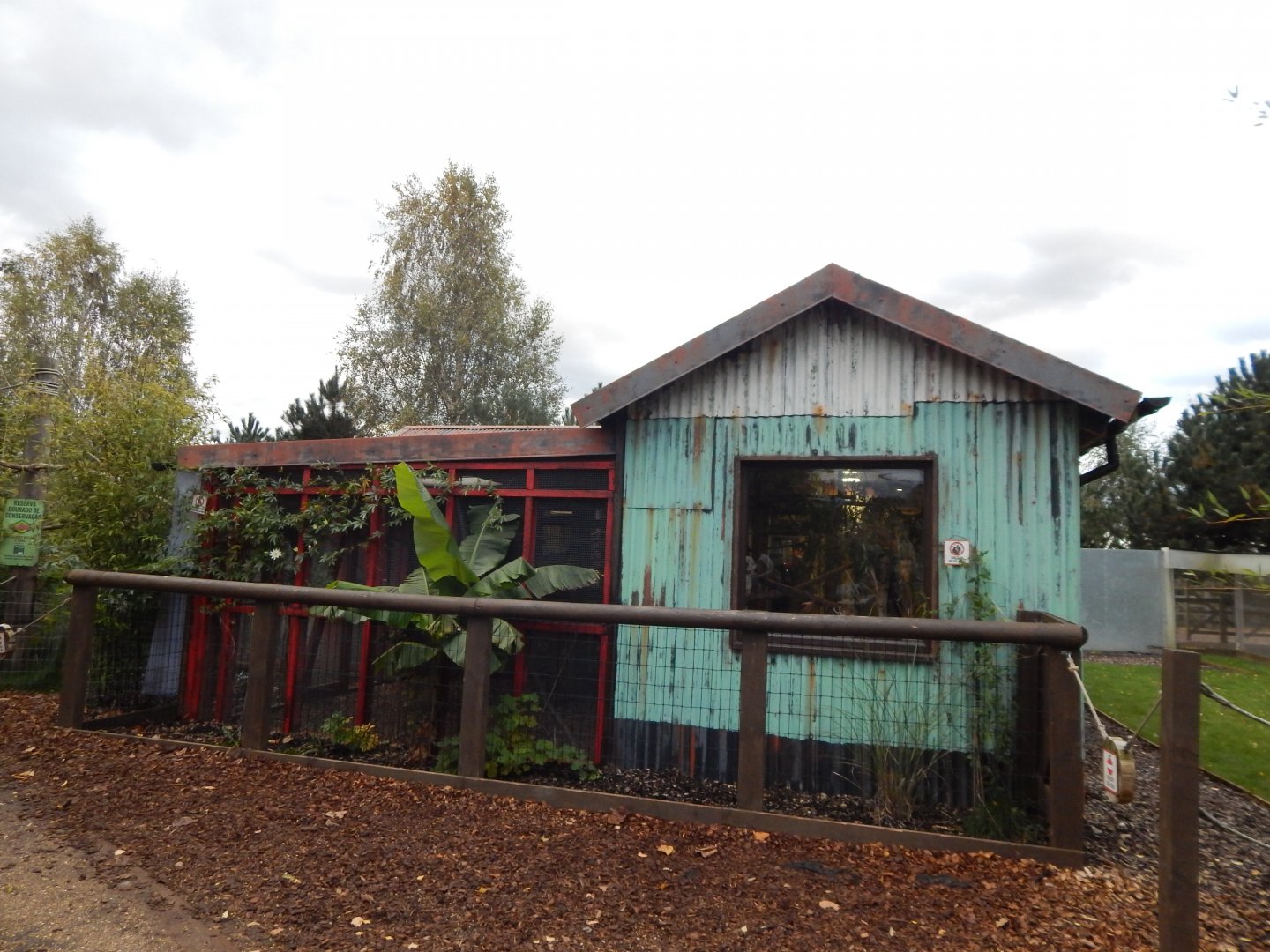 Amazonas Walkthrough 121024