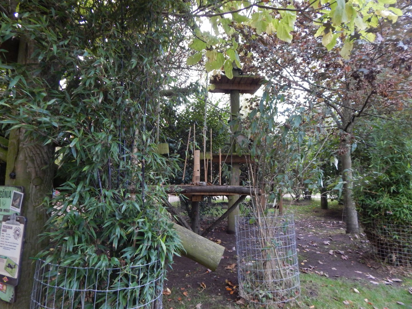 Amazonas Walkthrough 121024