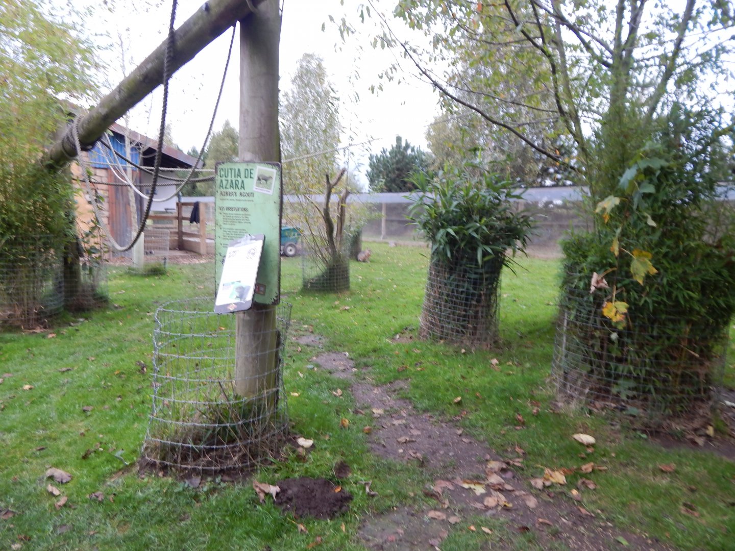 Amazonas Walkthrough 121024