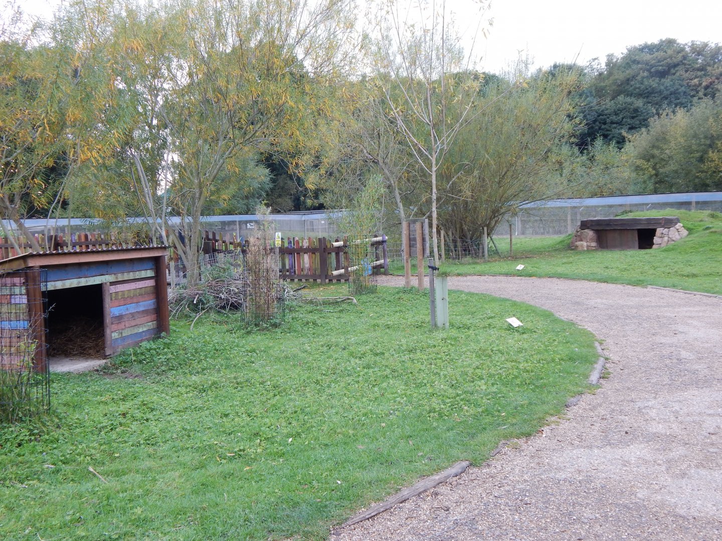 Amazonas Walkthrough 121024