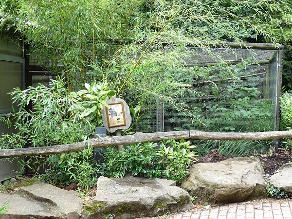 Amazonashaus - Enclosure for emperor tamarins (07/22)