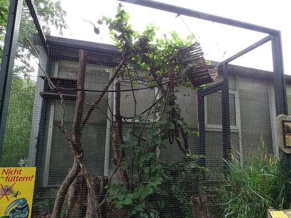 Amazonashaus - Enclosure for pygmy marmosets (07/22)