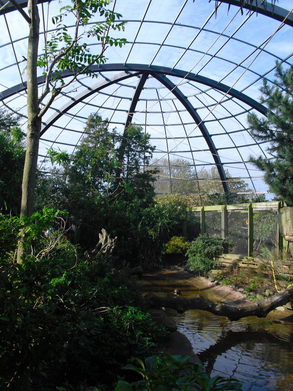 Amazonia - 01/10/2011