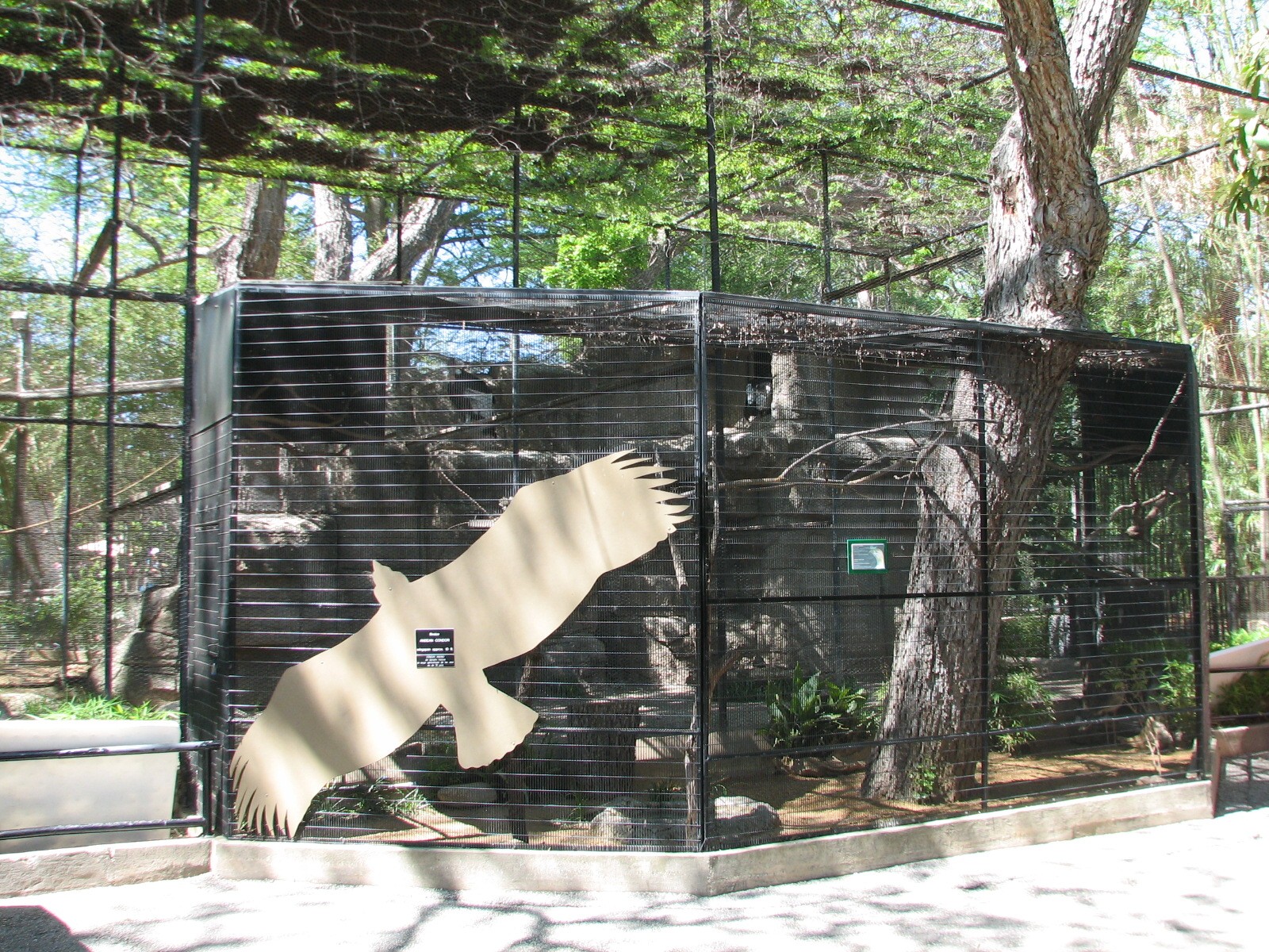 Amazonia - Andean Condor and Seriema Exhibits