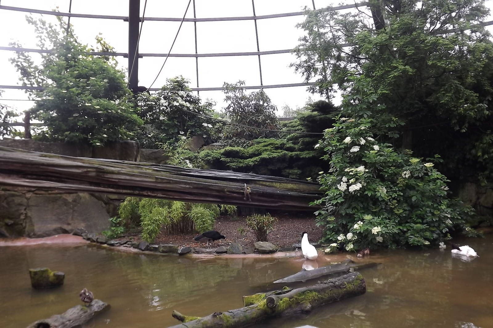 Amazonia at Blackpool Zoo 16/06/12