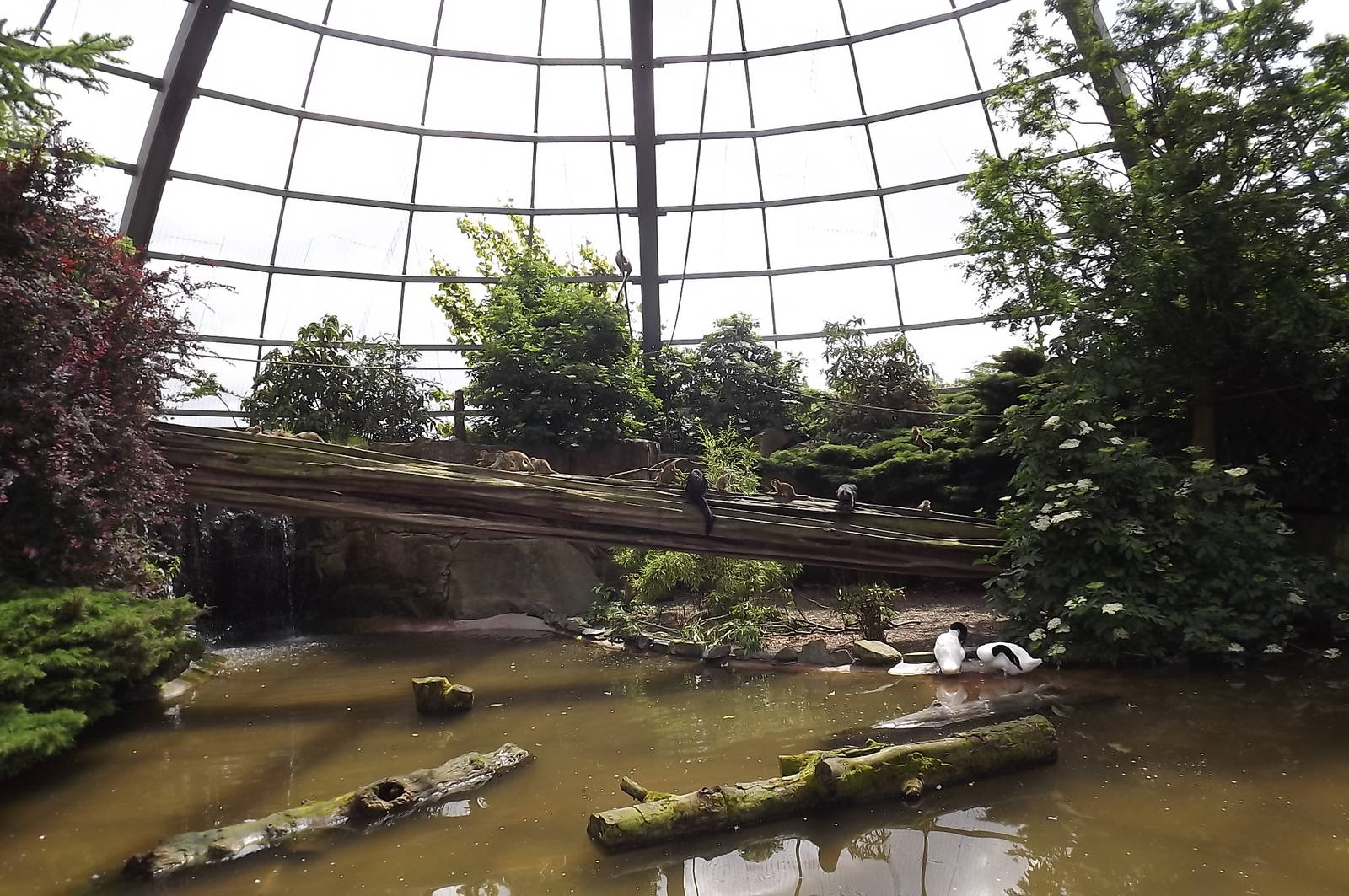 Amazonia at Blackpool Zoo 17/06/12