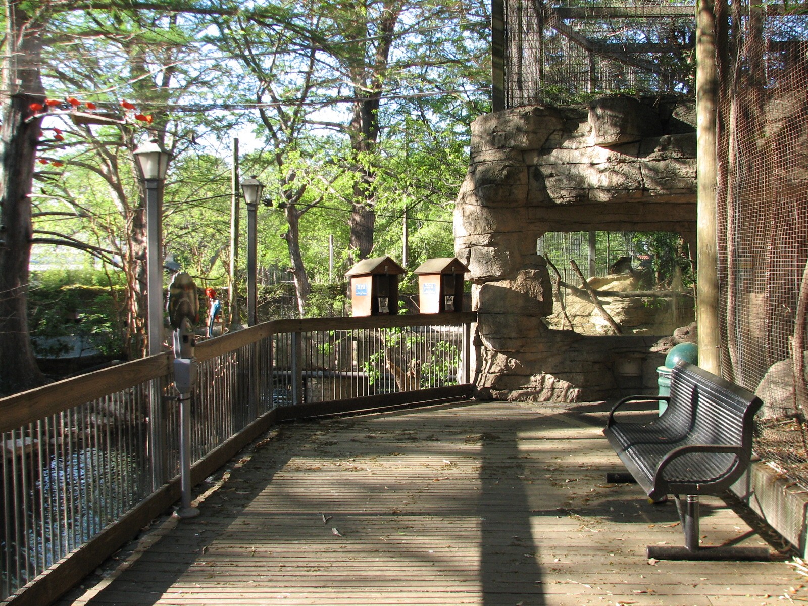 Amazonia - Aviary Interior