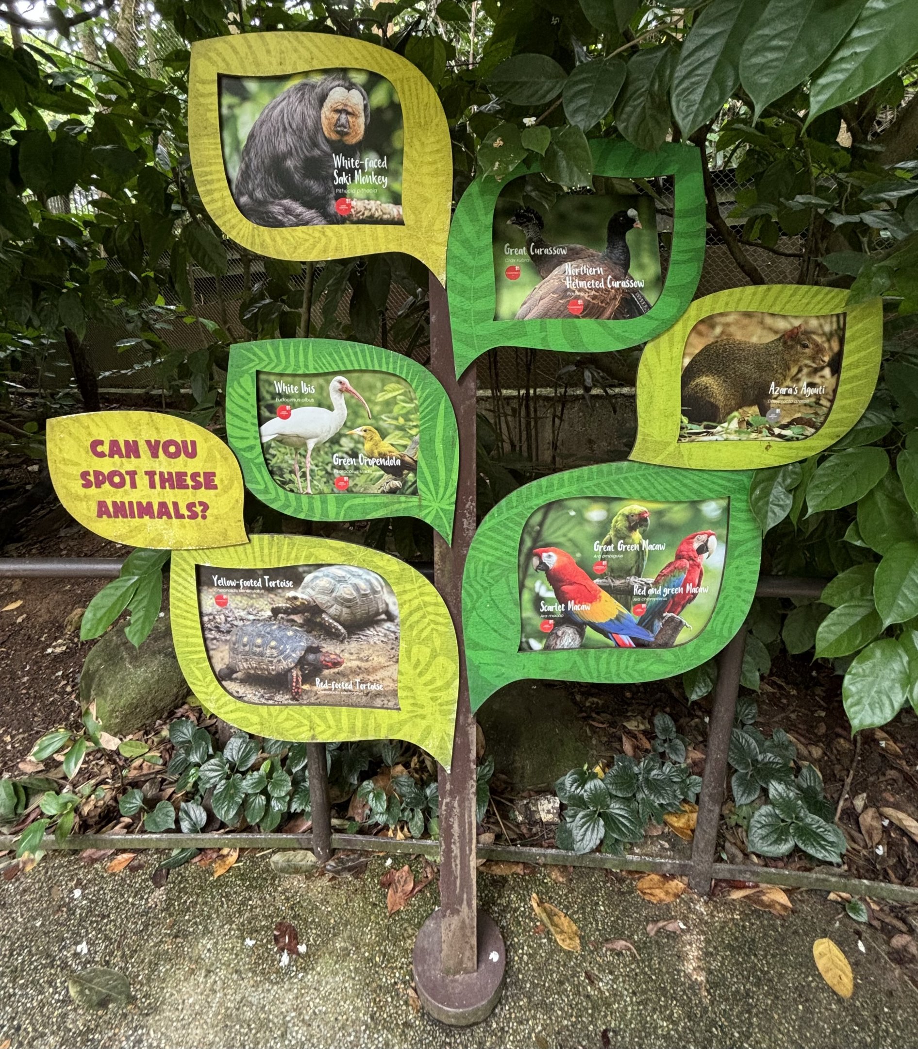 Amazonia Encounters - animal signs