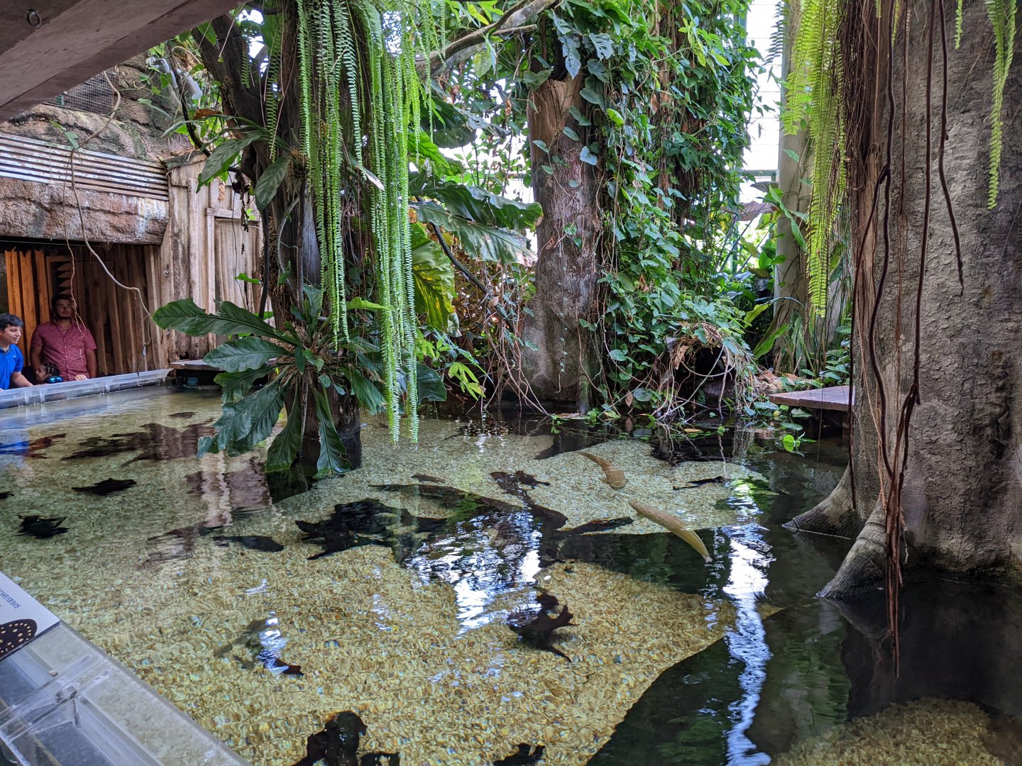 Amazonia entrance area