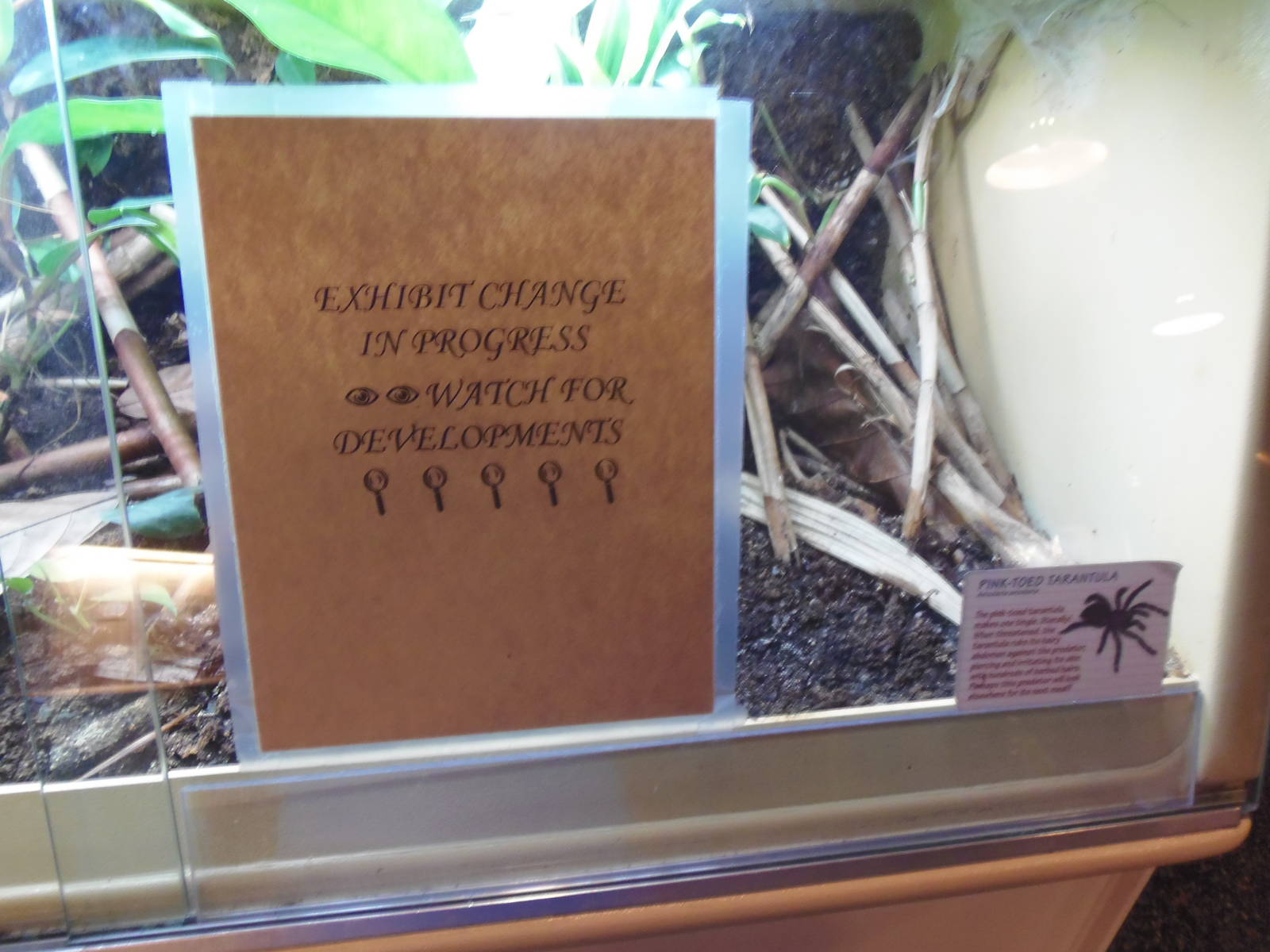 Amazonia- Exhibit Change in Process