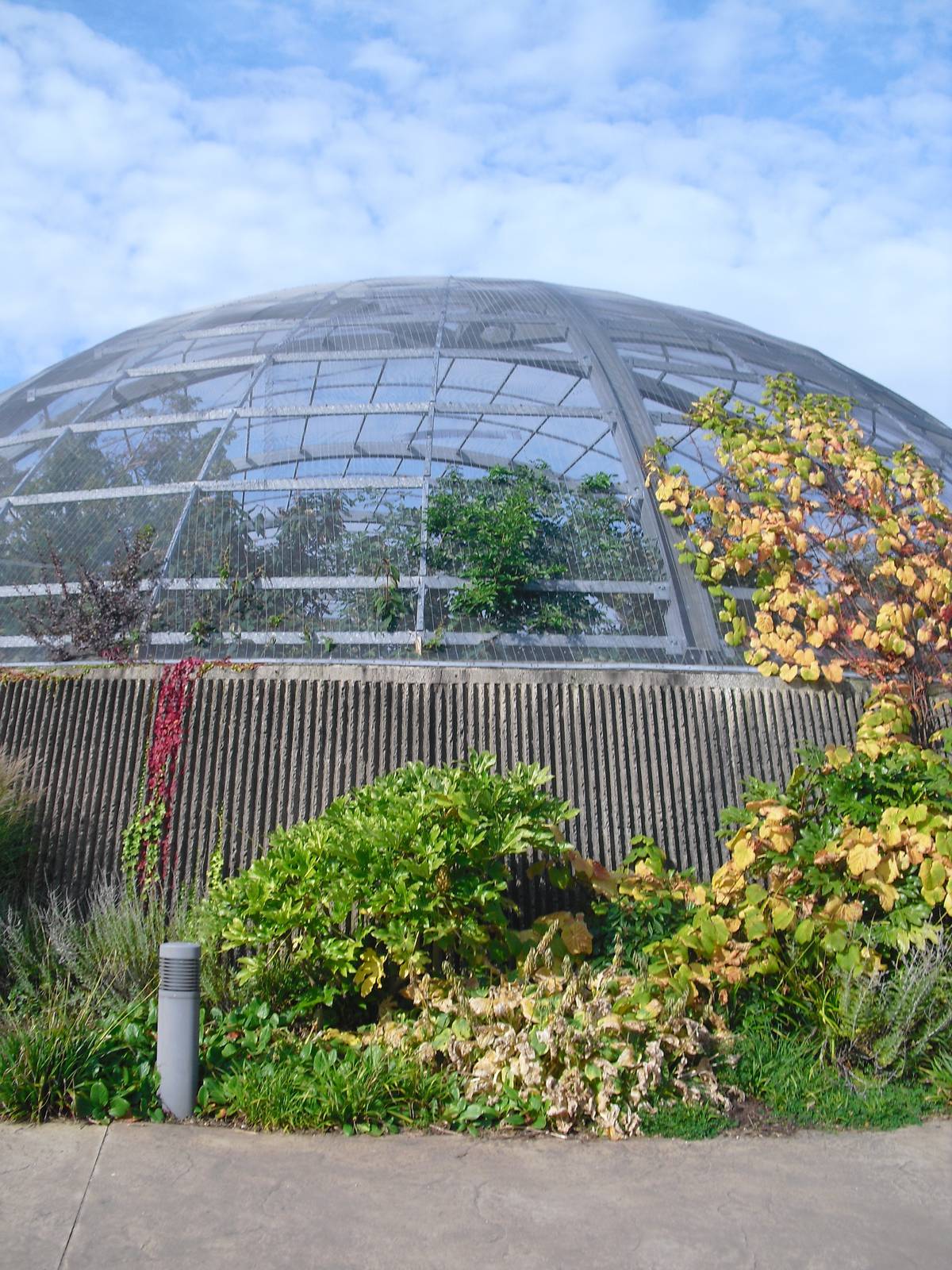 Amazonia Exterior - 01/10/2011