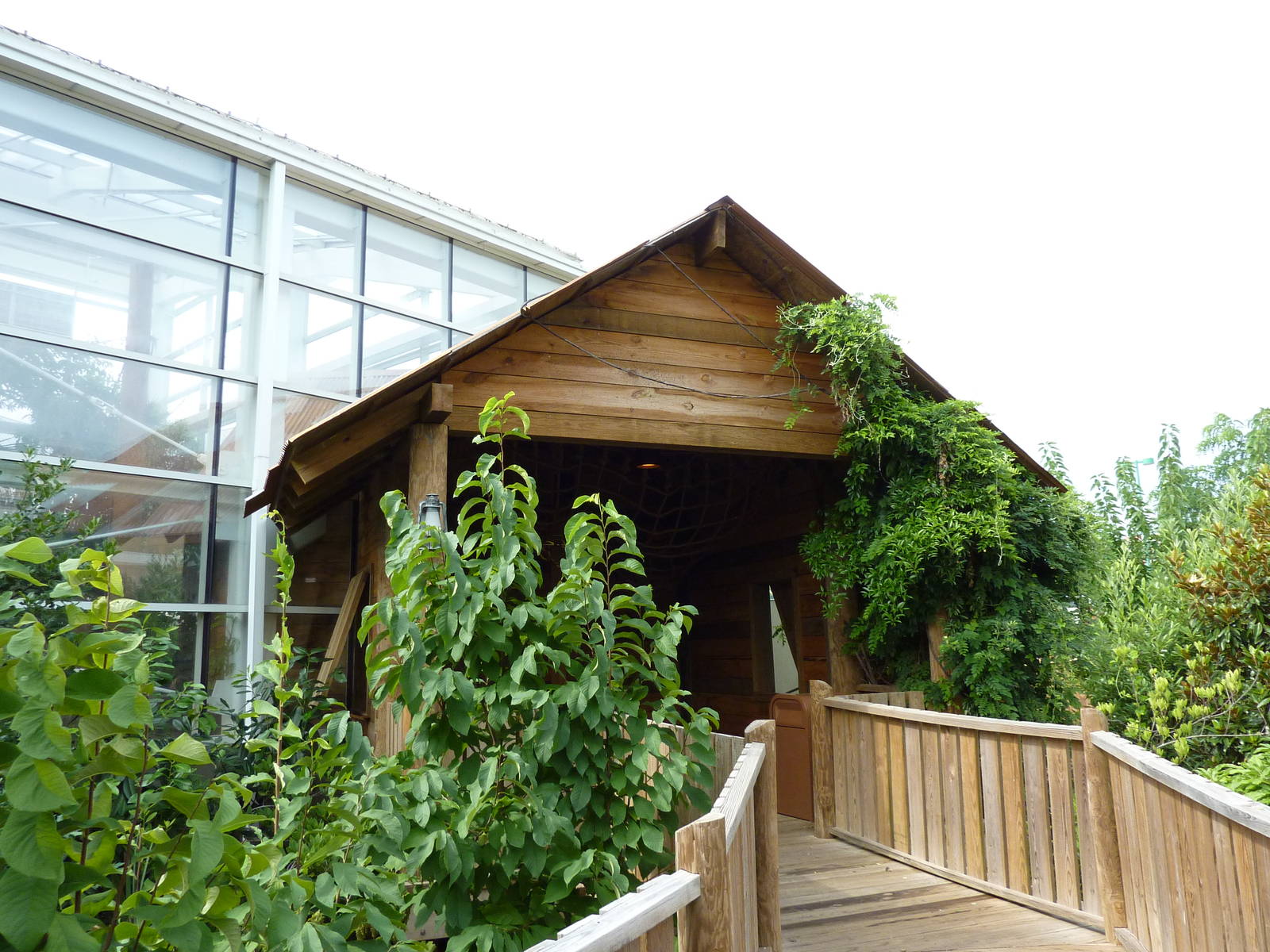 Amazonia: Forest Of Riches - Entrance