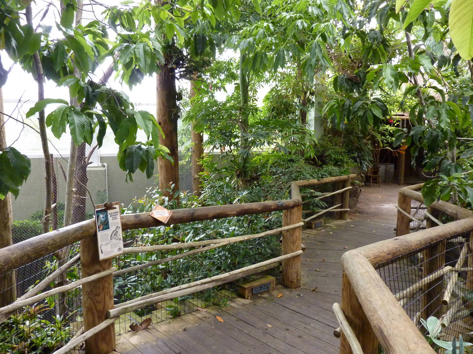 Amazonia: Forest Of Riches - Howler + Squirrel Monkey Exhibit