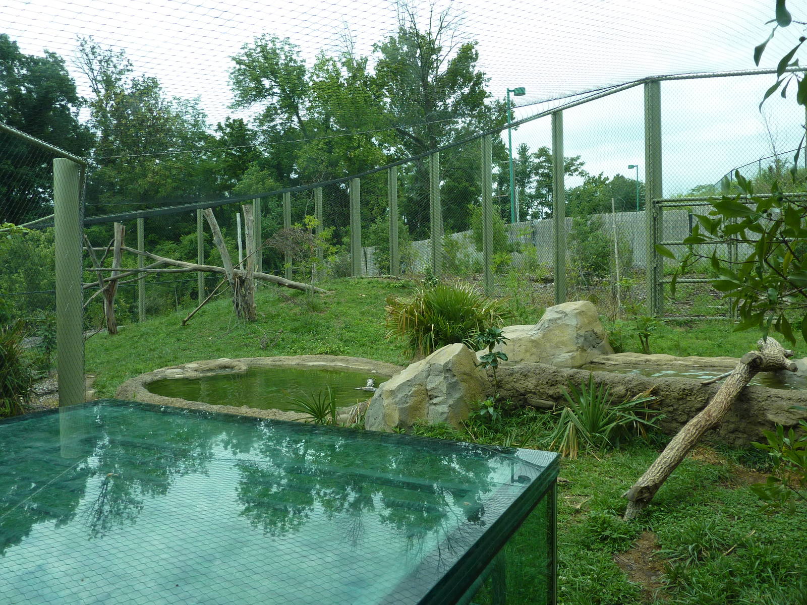 Amazonia: Forest Of Riches - Jaguar Exhibit