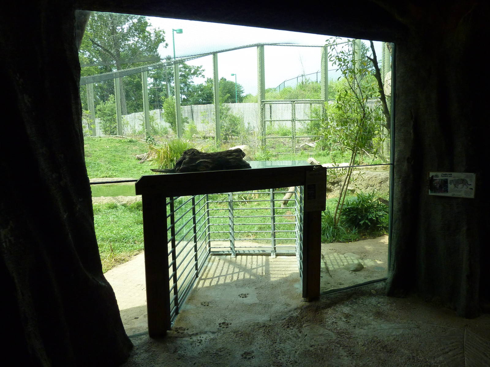 Amazonia: Forest Of Riches - Jaguar Exhibit