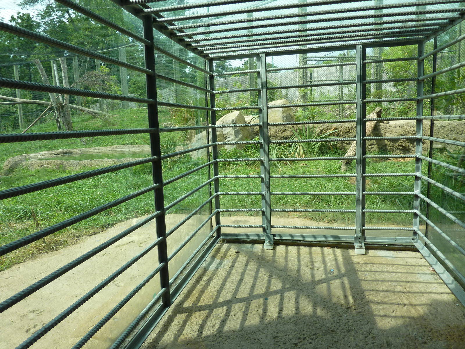 Amazonia: Forest Of Riches - Jaguar Exhibit