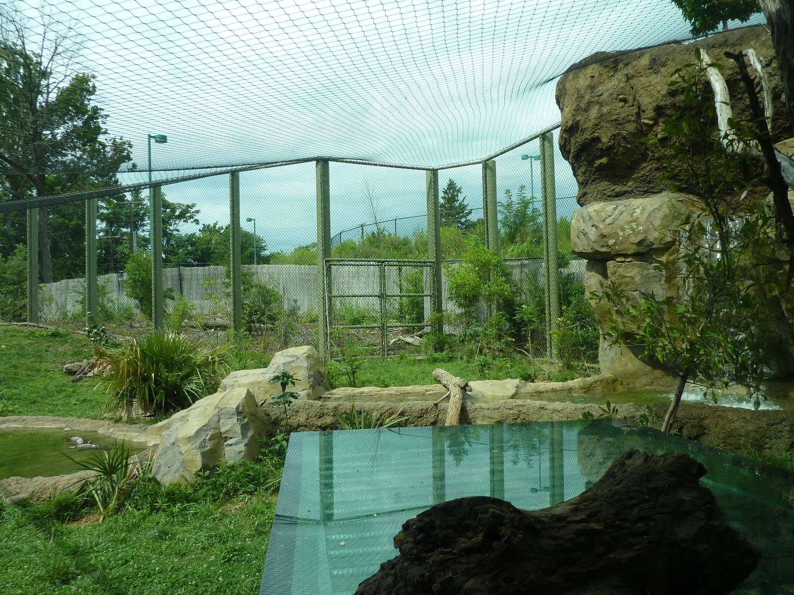 Amazonia: Forest Of Riches - Jaguar Exhibit