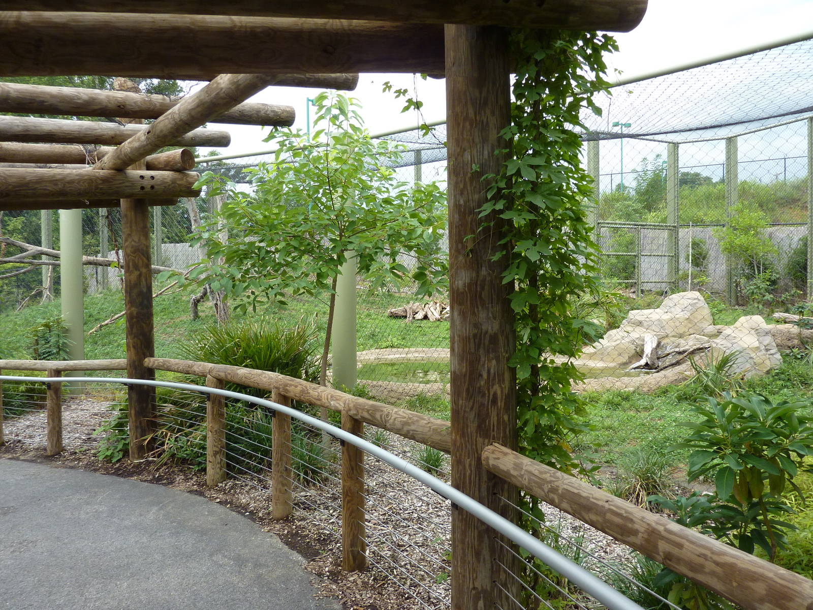 Amazonia: Forest Of Riches - Jaguar Exhibit