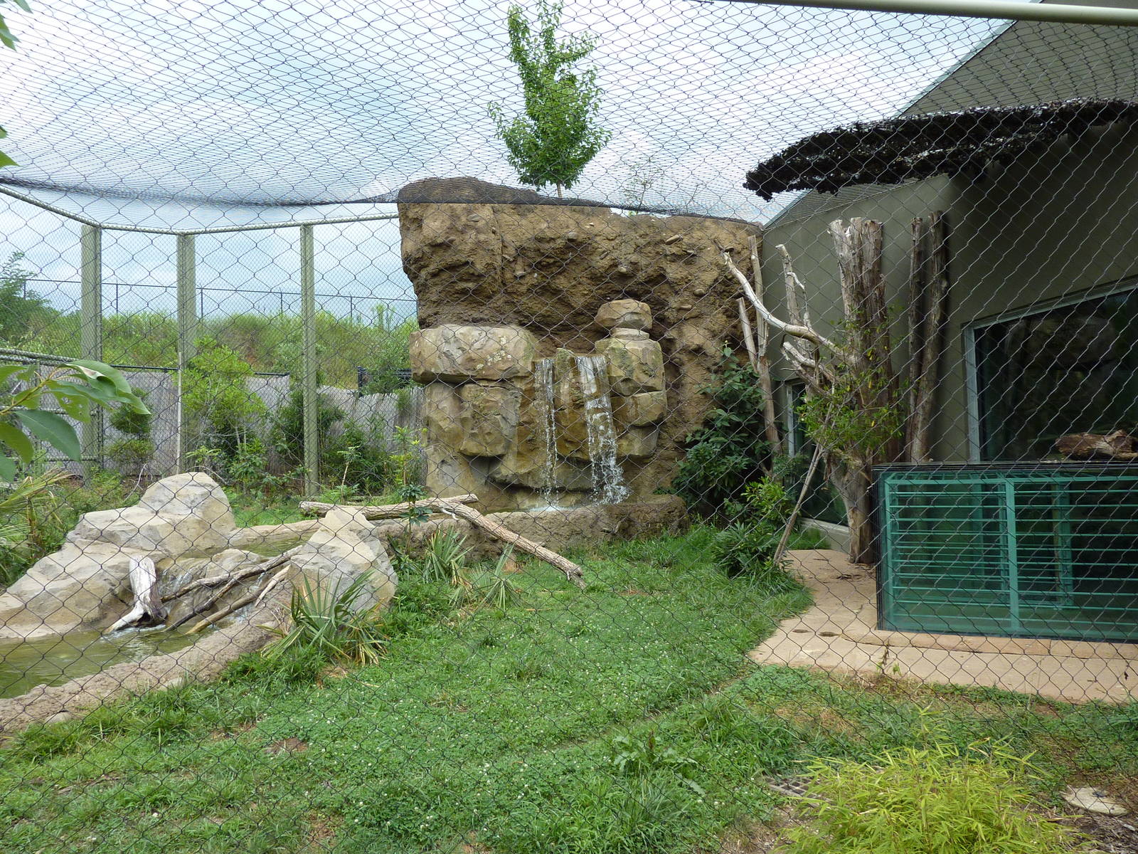 Amazonia: Forest Of Riches - Jaguar Exhibit