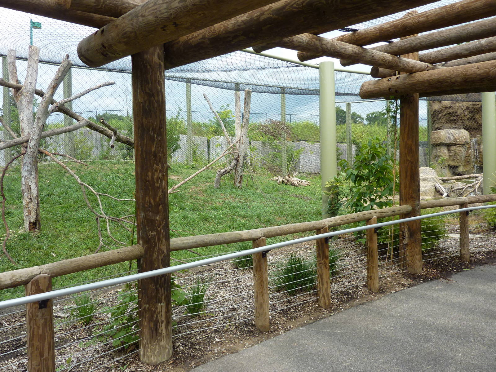 Amazonia: Forest Of Riches - Jaguar Exhibit