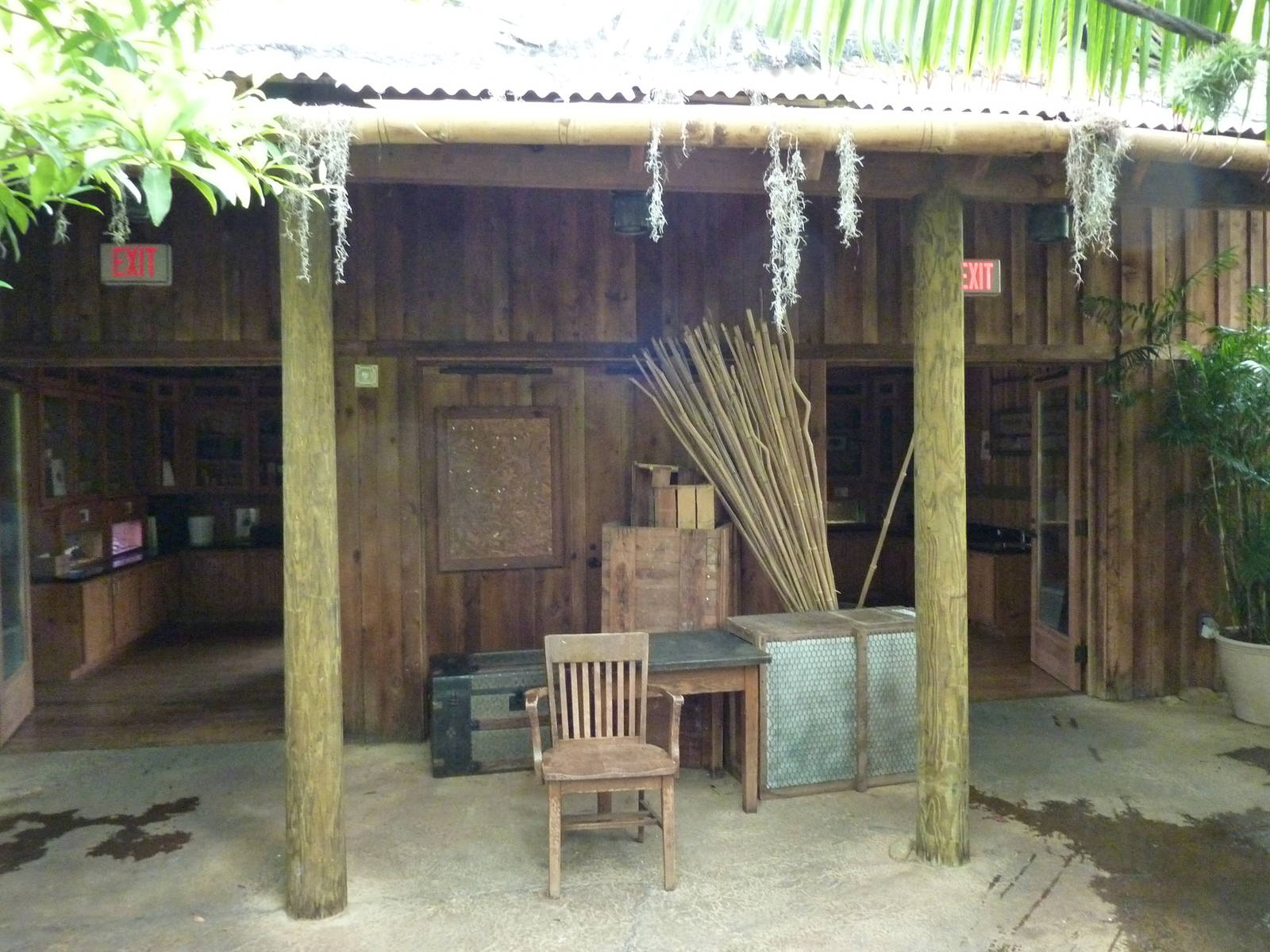 Amazonia: Forest Of Riches - Researcher's Hut