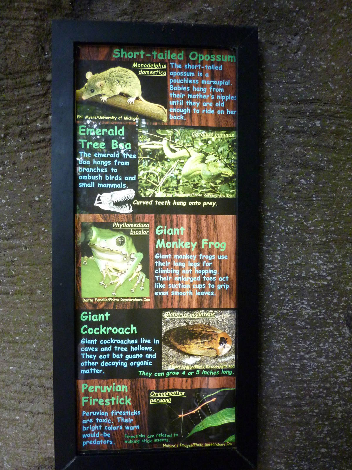 Amazonia: Forest Of Riches - Signage