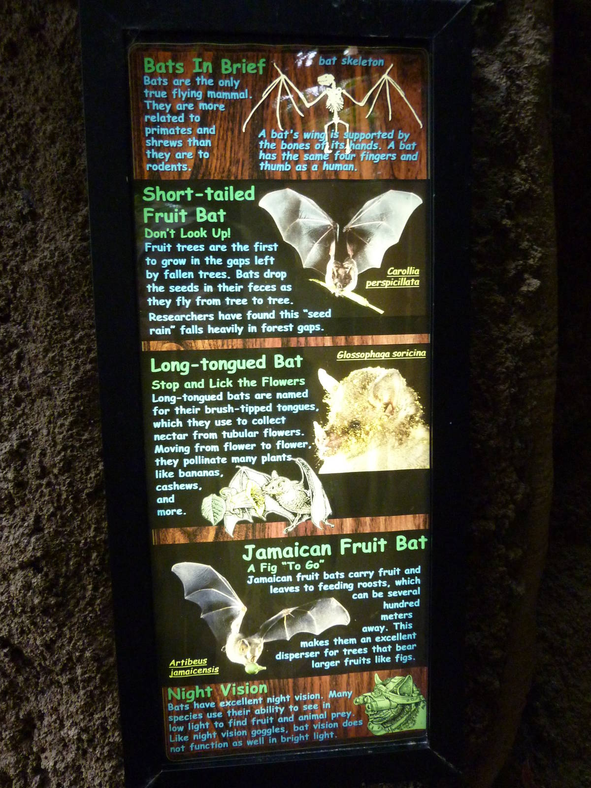 Amazonia: Forest Of Riches - Signage