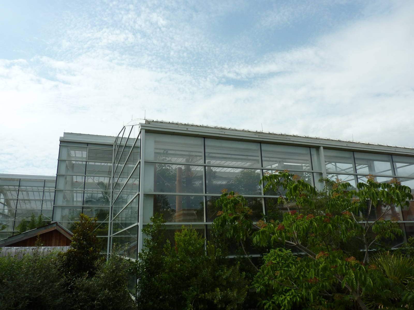 Amazonia: Forest Of Riches