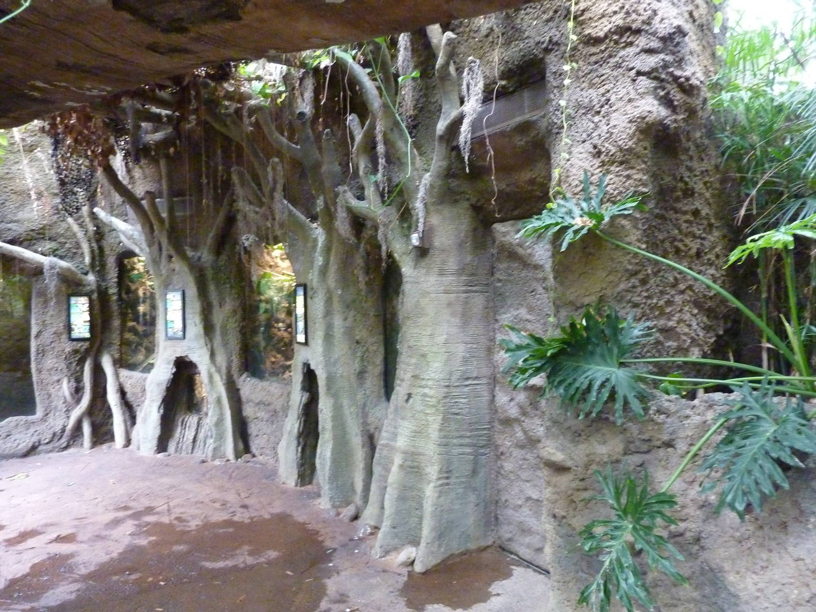 Amazonia: Forest Of Riches