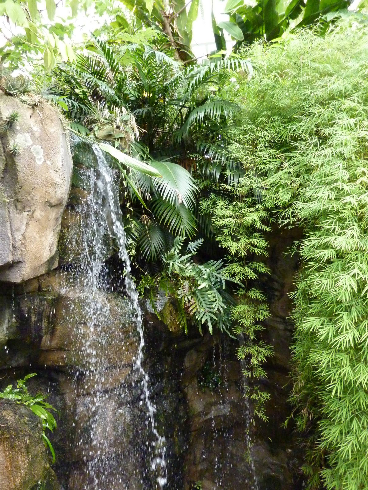 Amazonia: Forest Of Riches