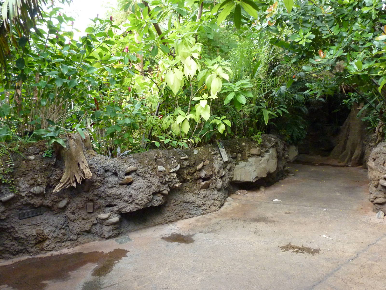 Amazonia: Forest Of Riches