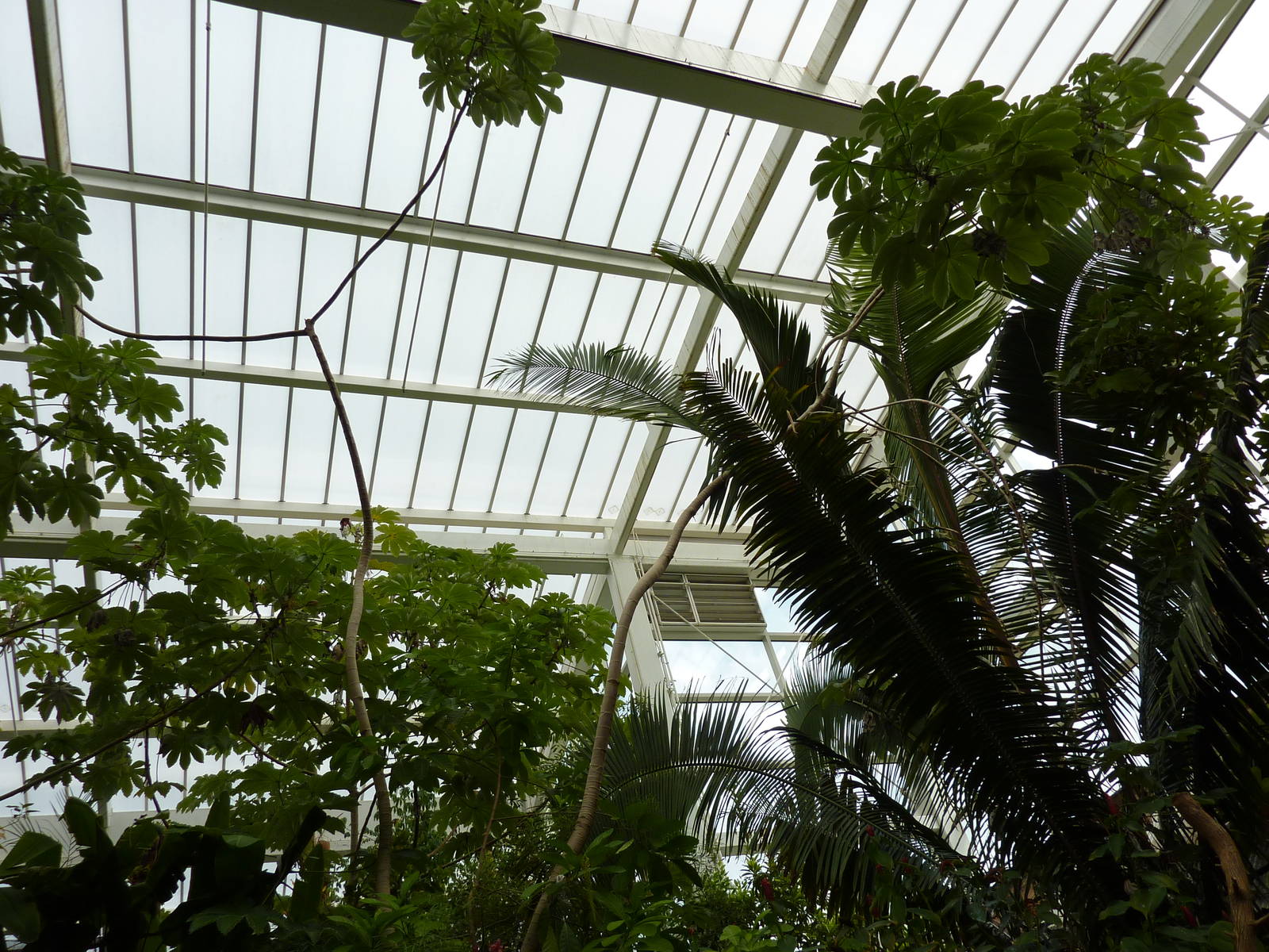 Amazonia: Forest Of Riches