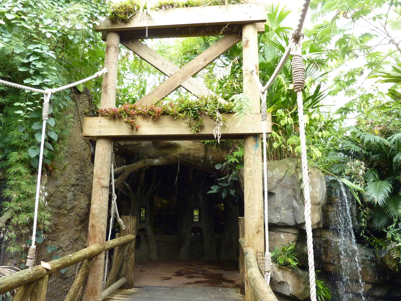 Amazonia: Forest Of Riches