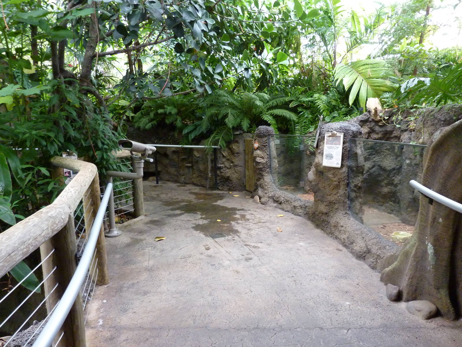 Amazonia: Forest Of Riches