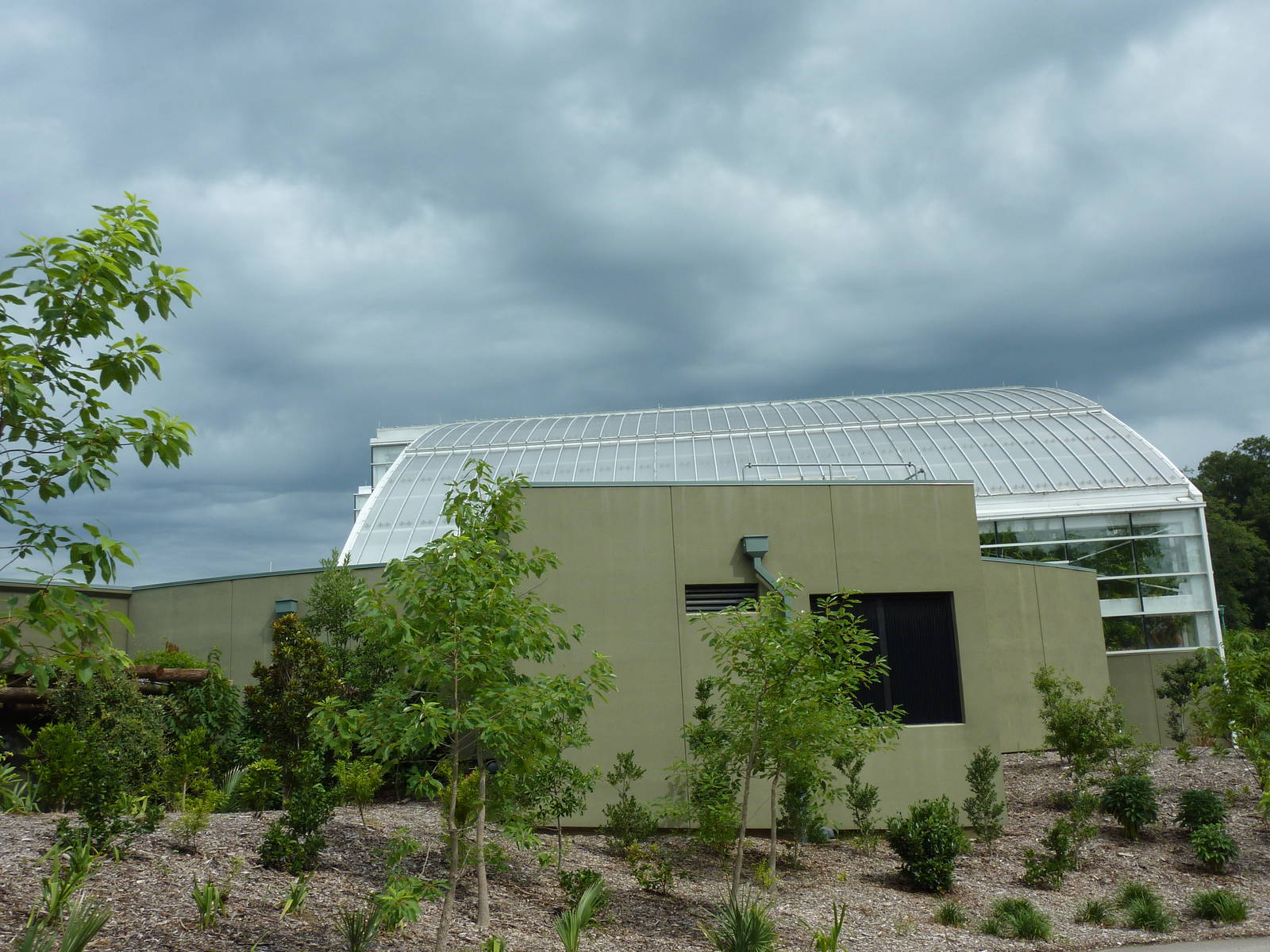 Amazonia: Forest Of Riches