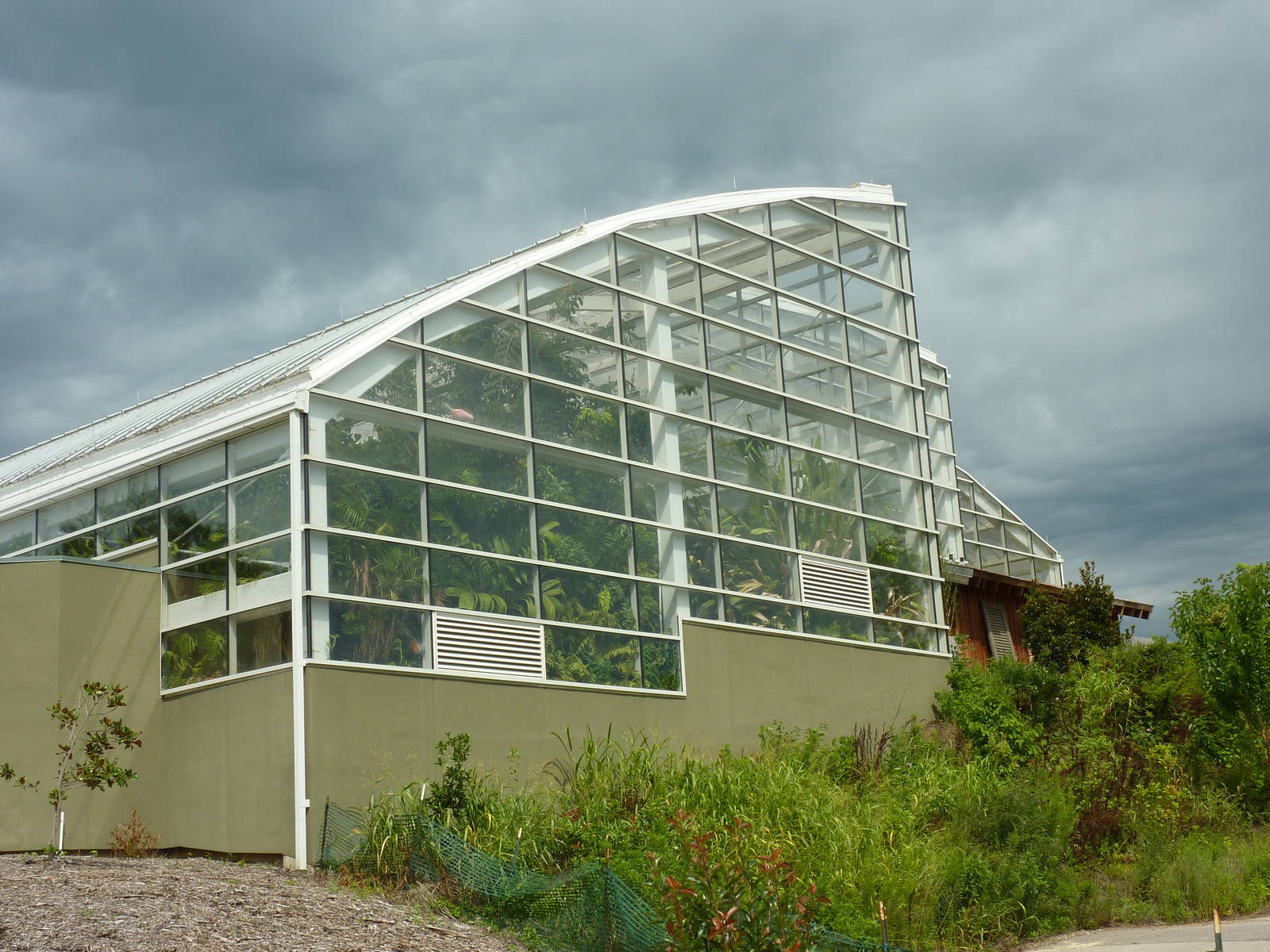 Amazonia: Forest Of Riches